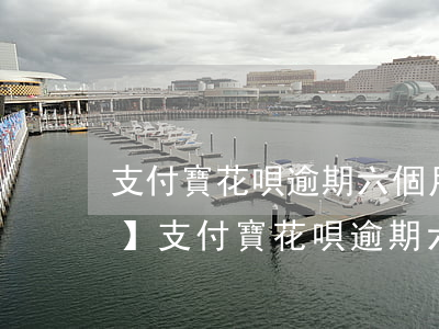 支付寶花唄逾期六個月會起訴嗎知乎，【知乎】支付寶花唄逾期六個月是否會面臨起訴？